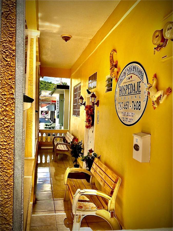 Great Savannah Guesthouse Sabana Grande المظهر الخارجي الصورة