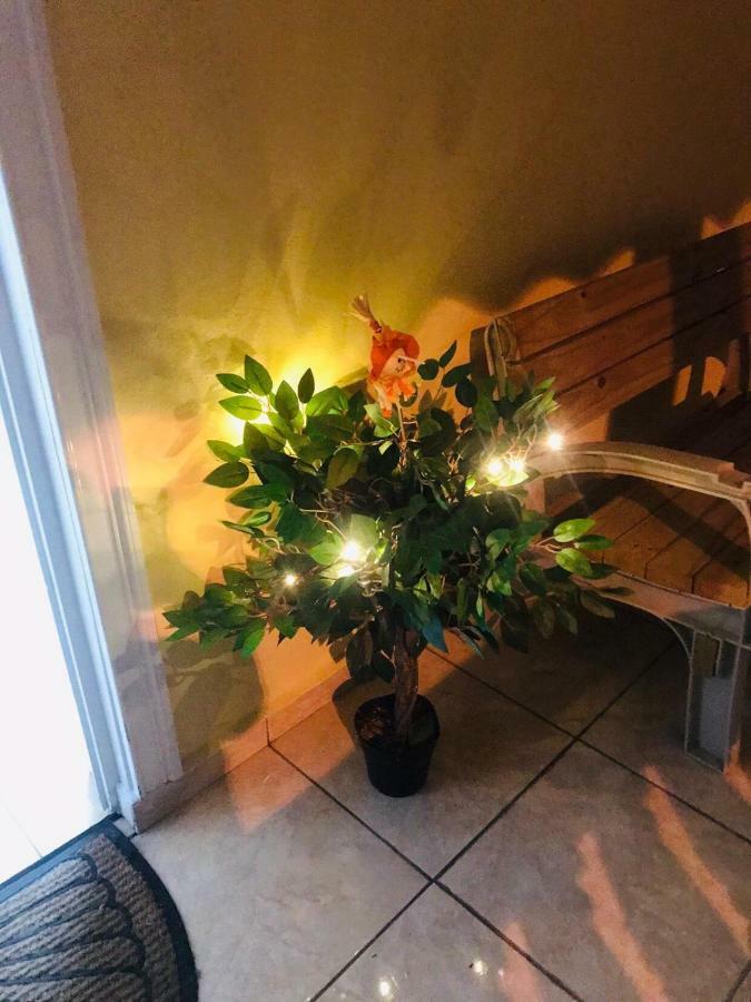 Great Savannah Guesthouse Sabana Grande المظهر الخارجي الصورة